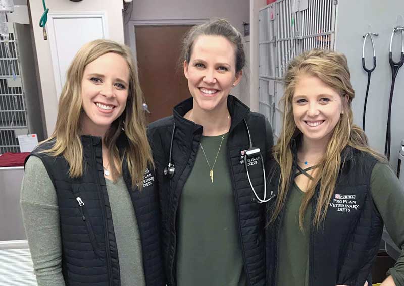 Carousel Slide 4: Meet our veterinary team!